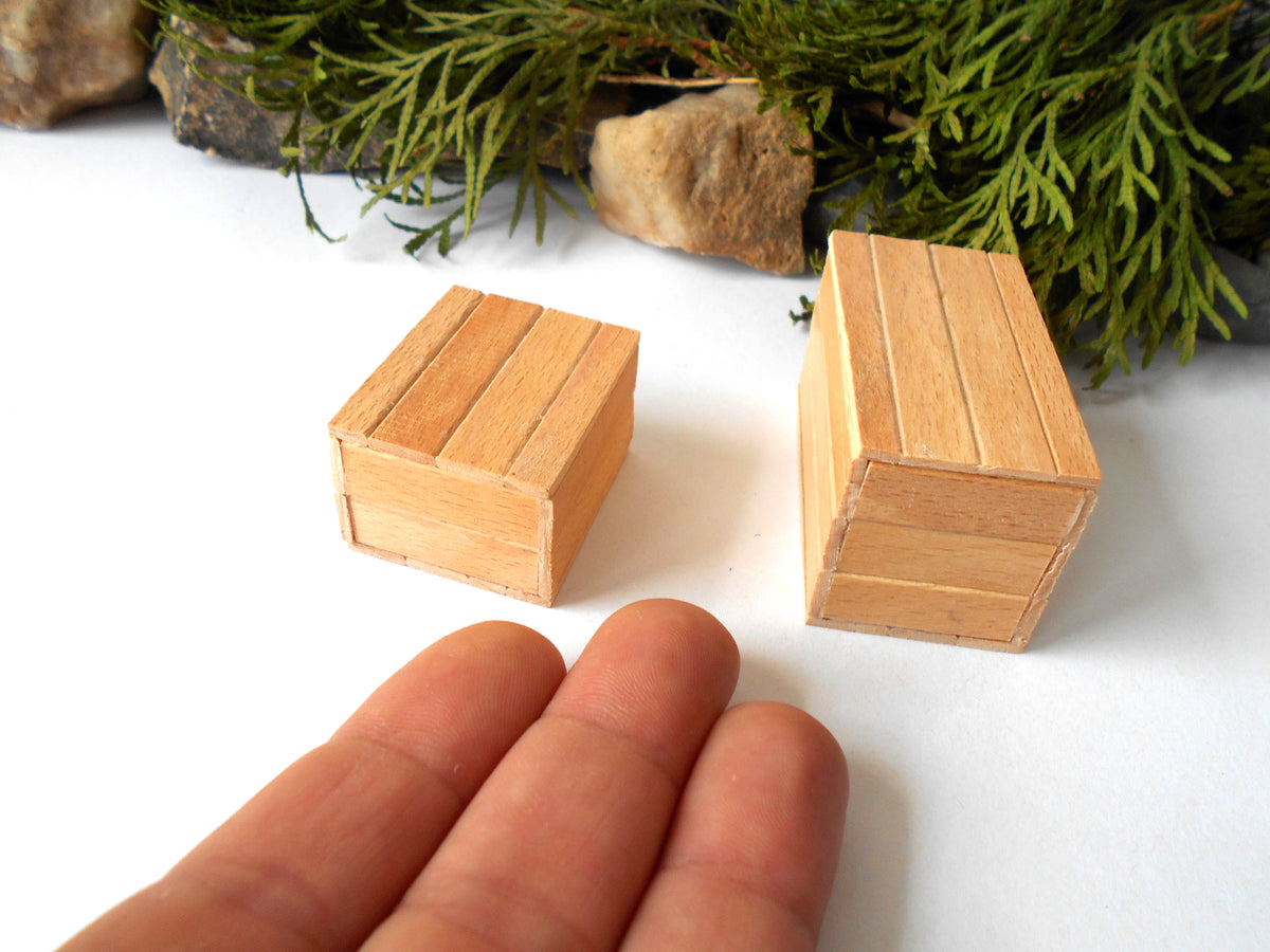 Two miniature light wood boxes shown next to a person's hand for scale, with green foliage and small rocks in the background on a white surface.