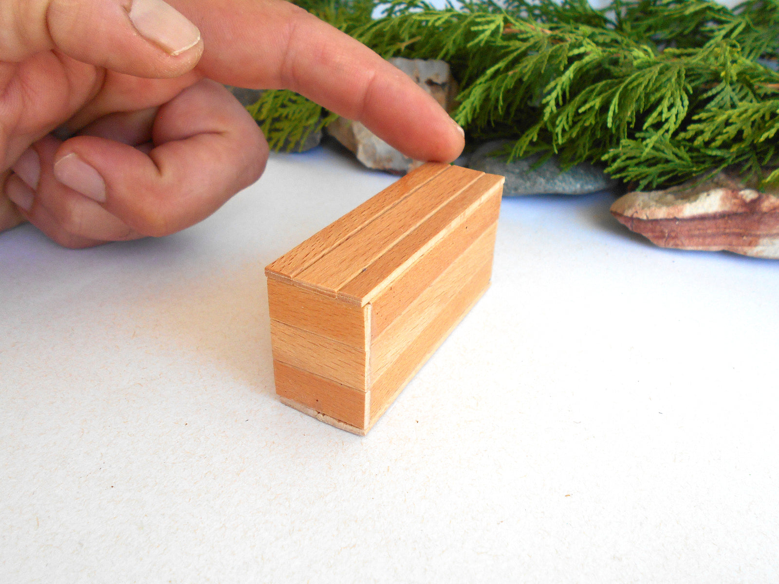 A hand points toward a small rectangular wooden block with visible wood grain, placed on a white surface with greenery in the background.