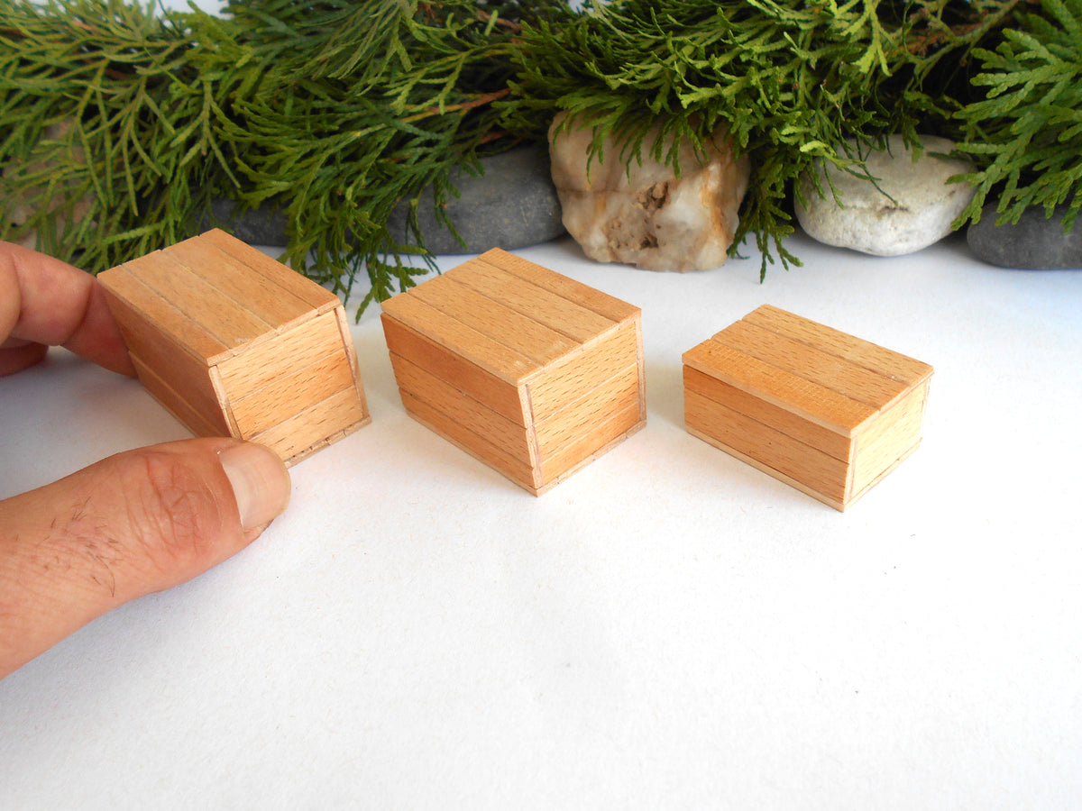 Three small rectangular wooden boxes of varying sizes arranged on a white surface, with a hand holding one box on the left and green foliage in the background.