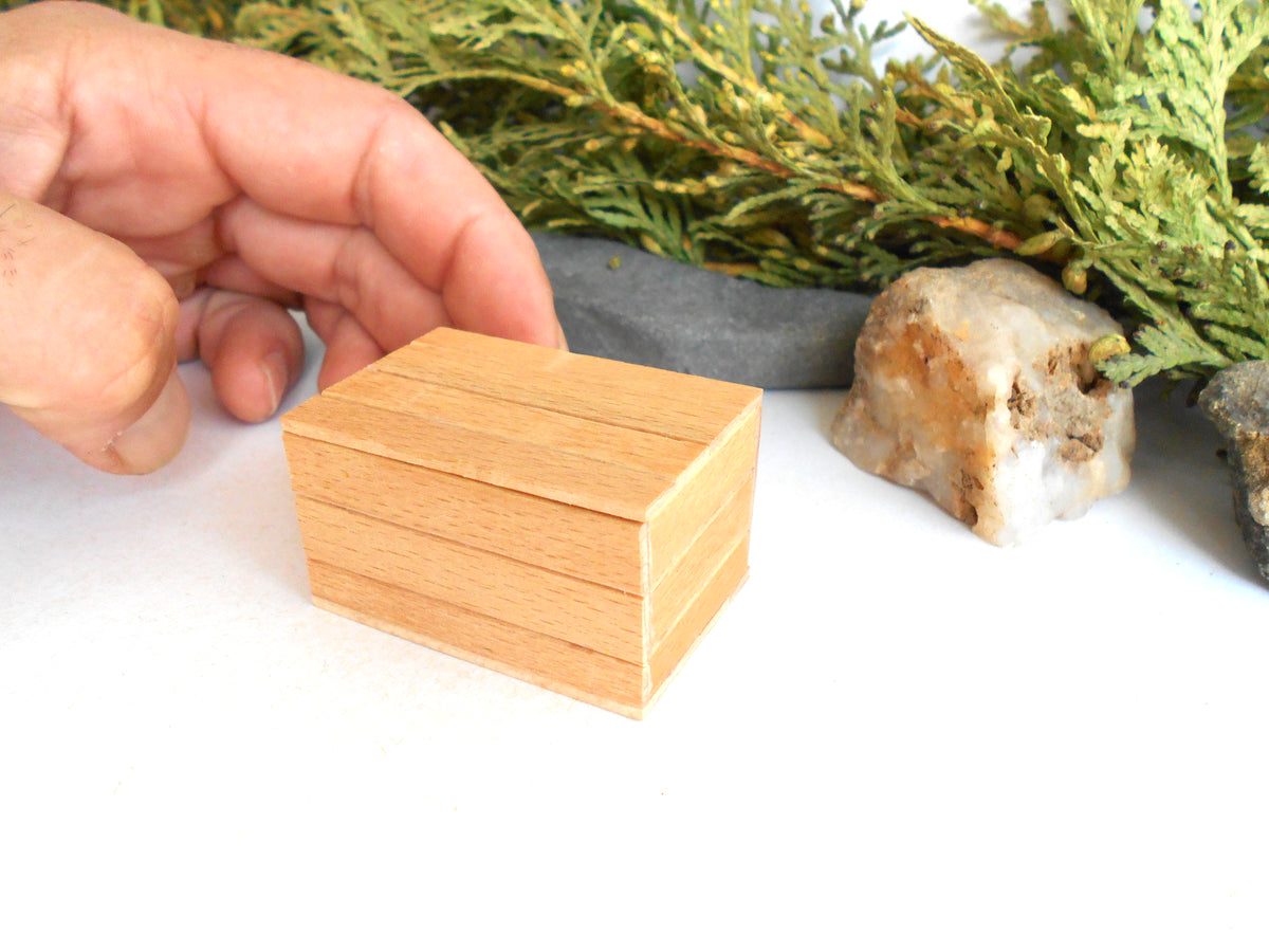 A small rectangular wooden box with a light natural wood finish, held by a person's hand on a white surface with green foliage and stones in the background.