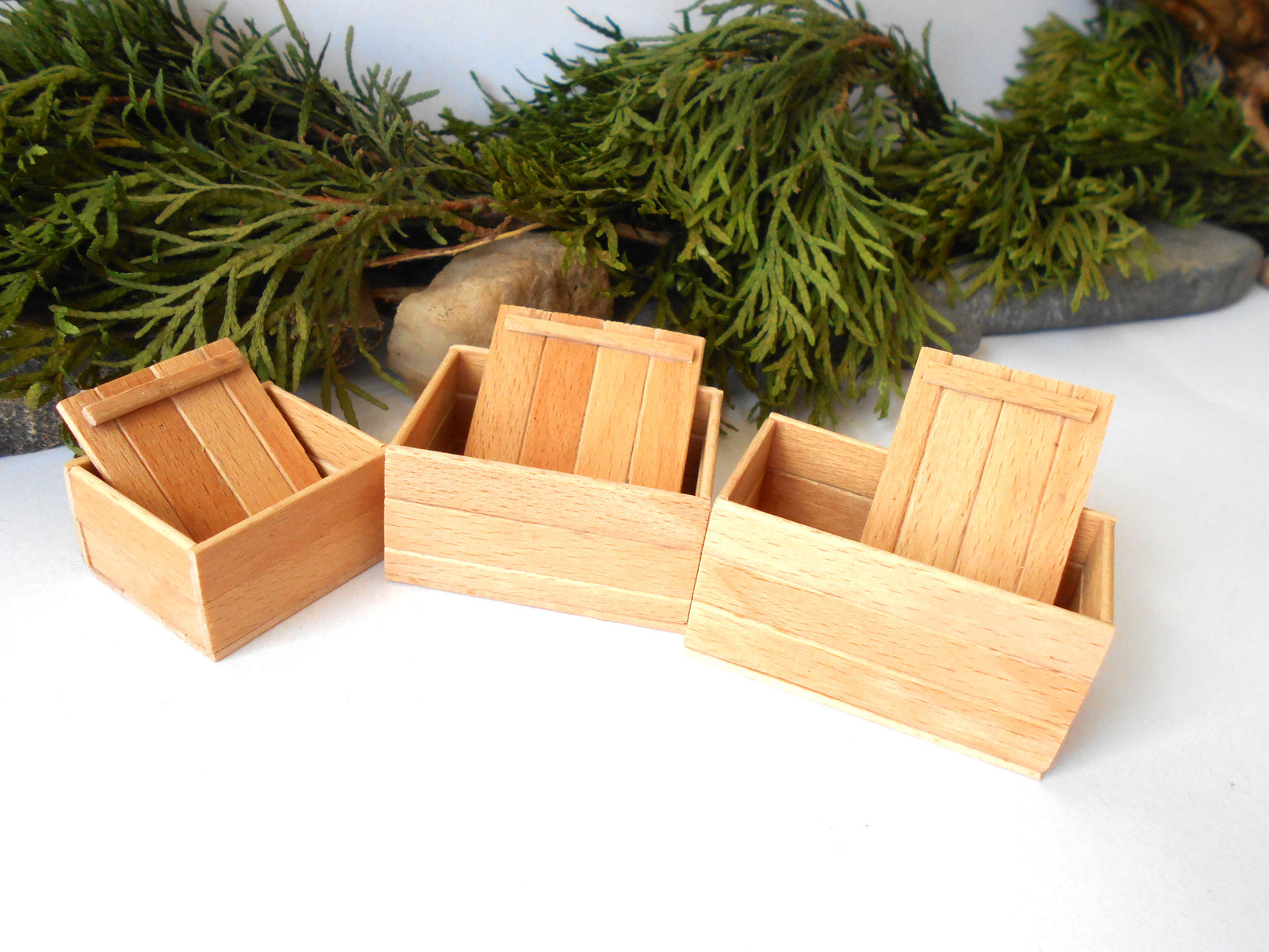 Three small rectangular wooden boxes with slatted lids, arranged on a white surface with green foliage in the background.