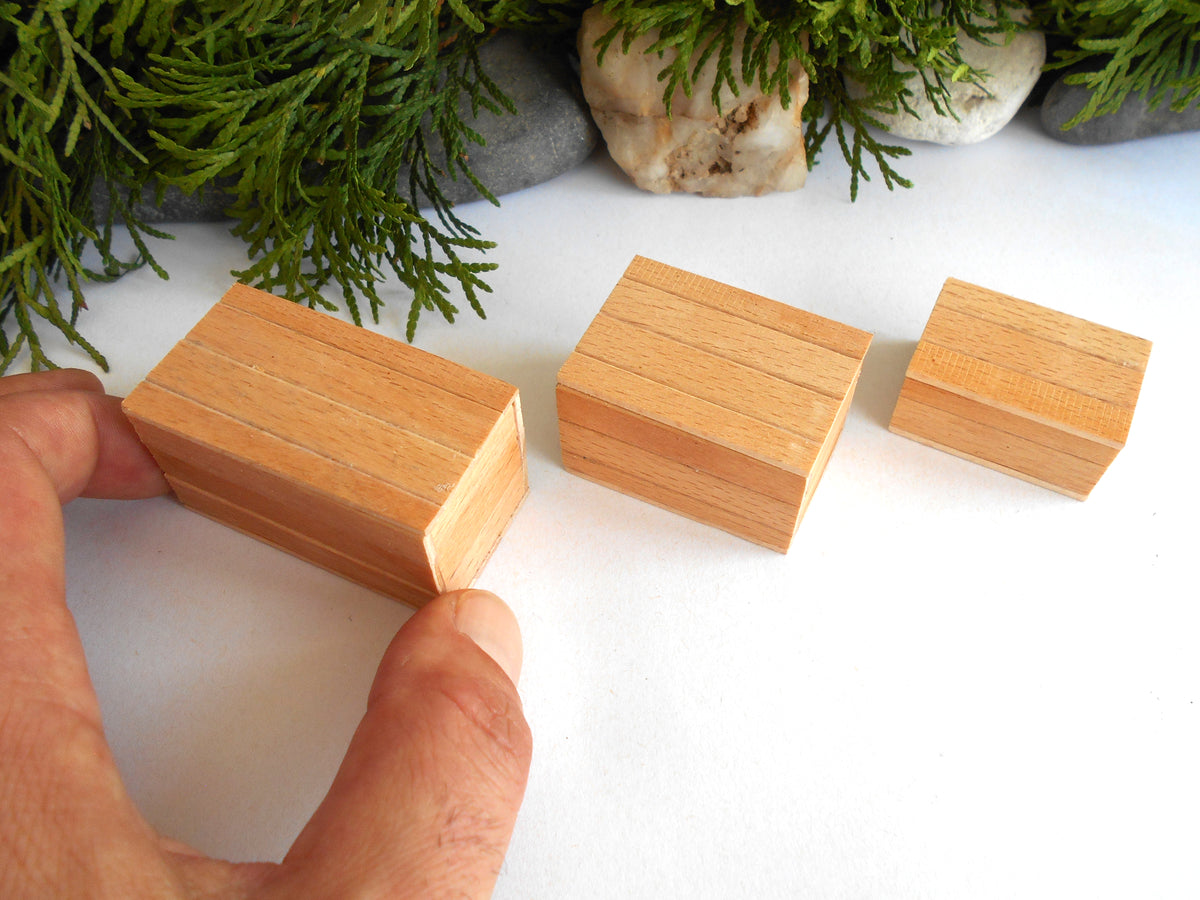 Three small rectangular wooden boxes of varying sizes on a white surface, with a hand holding one block and green foliage in the background.
