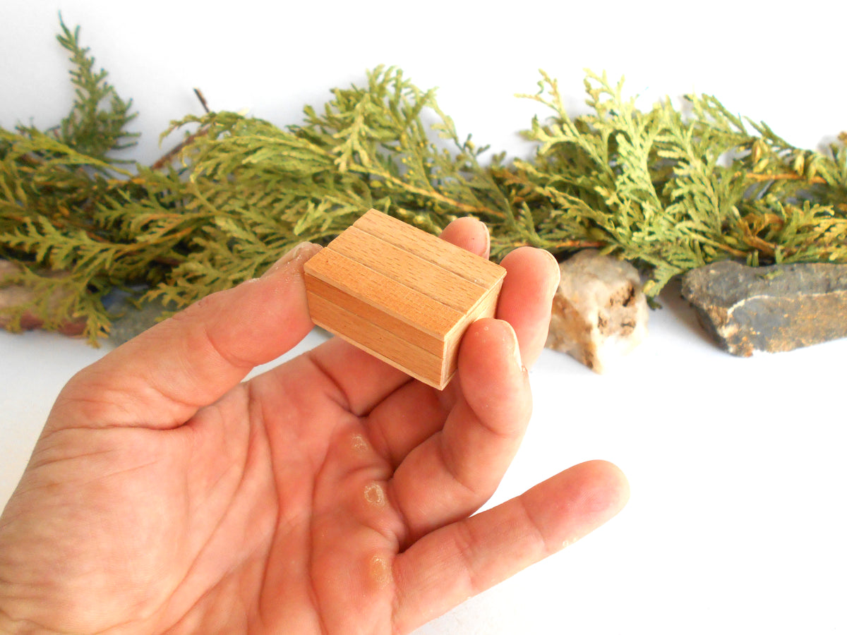 A hand holding a small, light-colored wooden box with a visible grain pattern, set against a white background with green foliage and small stones.