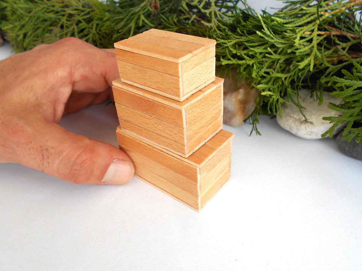 A hand holding a stack of four small, nested rectangular wooden boxes made from laminated wood, set against a white background with green foliage and stones.