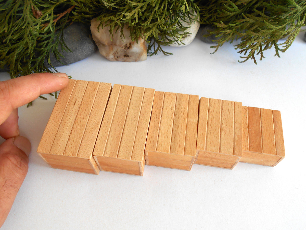 Five small rectangular wooden miniature boxes in varying sizes arranged in a descending size sequence on a white surface, with a hand pointing to them and green foliage in the background.