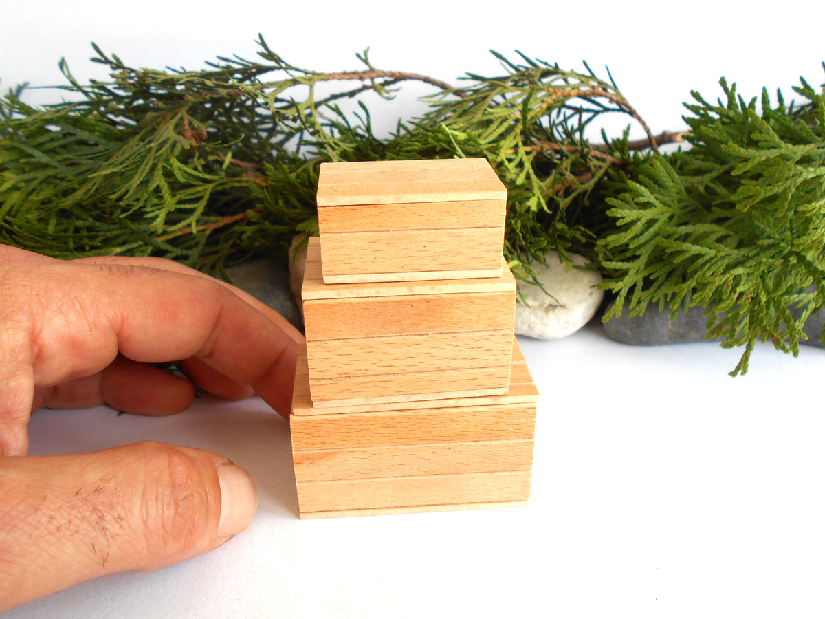 Three small stacked wooden boxes in a light natural wood finish, with a hand holding the leftmost boxes to show scale, against a white background with green foliage.