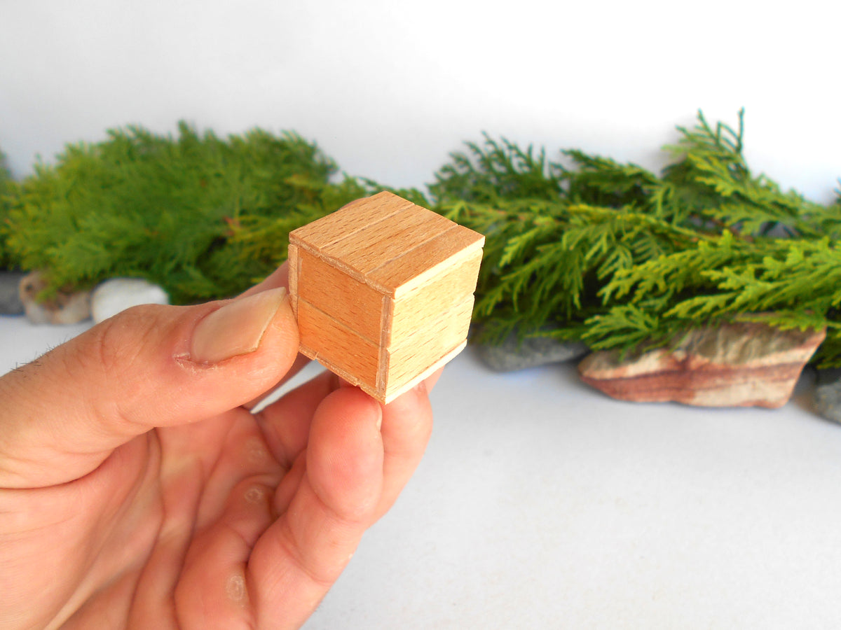 A hand holding a small, square, light-colored wooden box with a visible grain pattern, set against a blurred background of green foliage and a white surface.