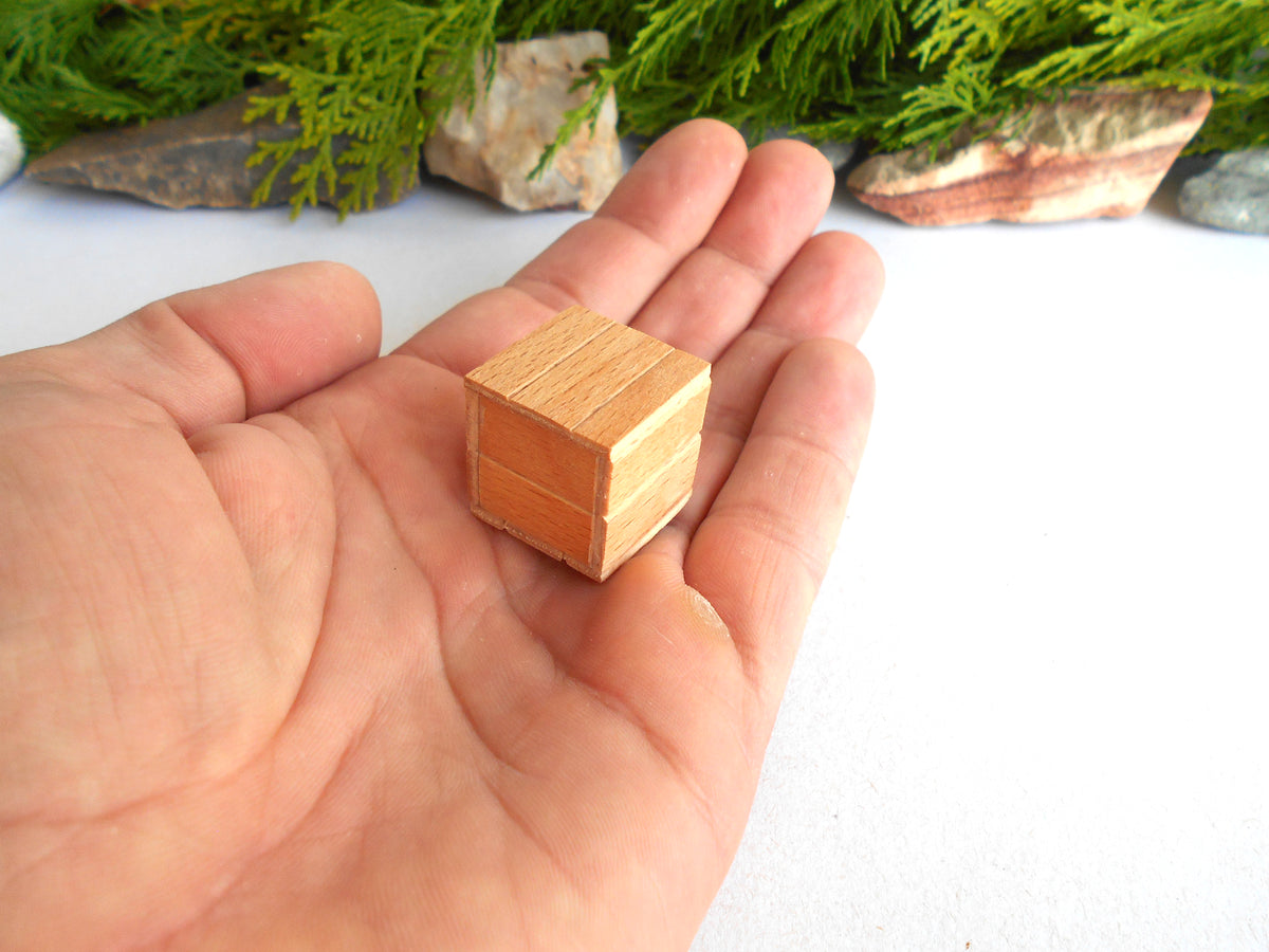 A small square wooden box with a light natural wood finish sits in the palm of a person's hand, with green foliage and small rocks blurred in the background.