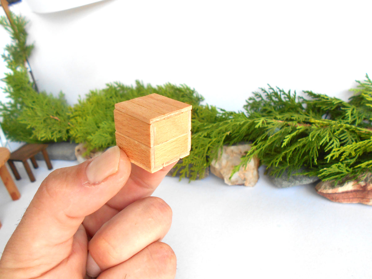 A hand holding a small, light-colored wooden cube-shaped object against a white background with blurred green foliage and miniature props.