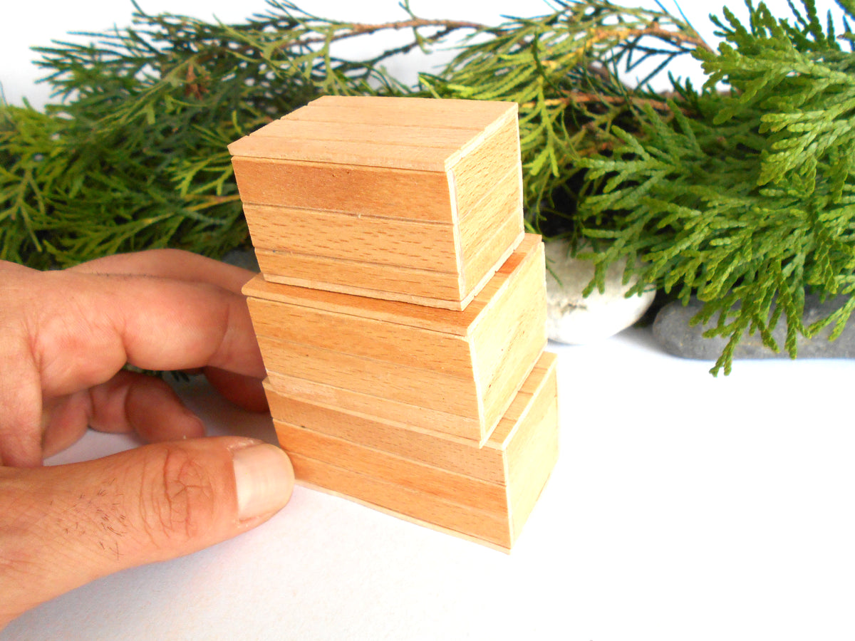 A hand holding a stack of four small, stacked rectangular wooden boxes with a natural light wood finish, set against a white background with green foliage.