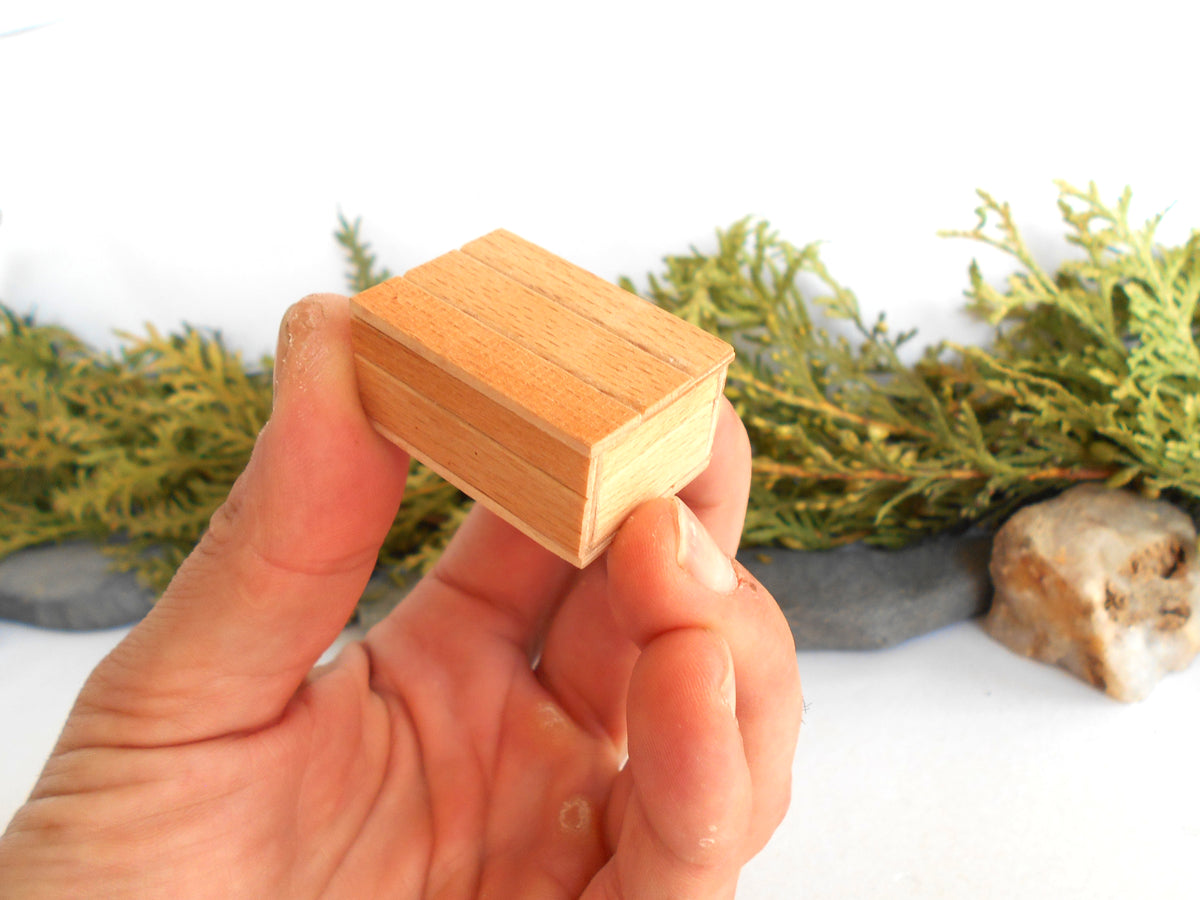 A hand holding a small, square, unfinished light wood box with visible wood grain, set against a white background with blurred green foliage and stones.
