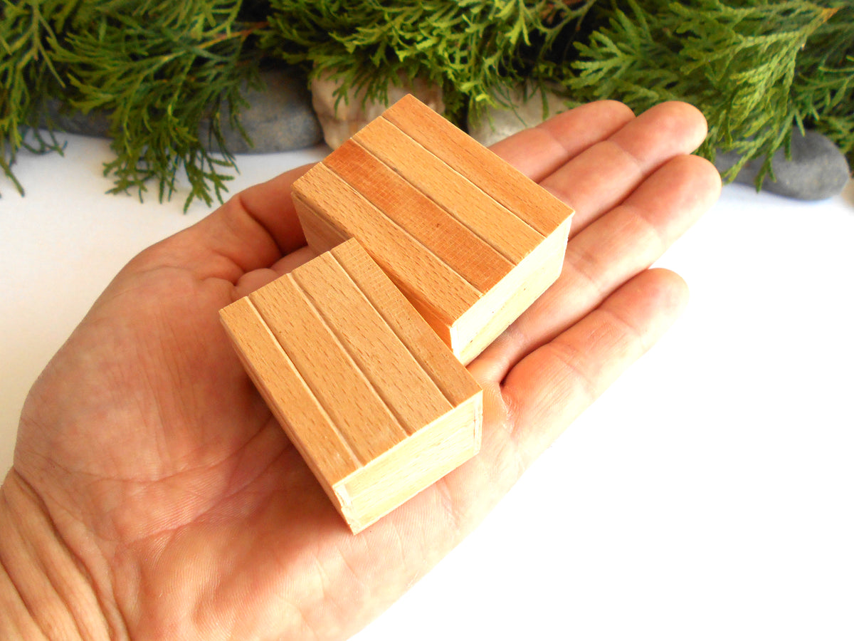 Two small rectangular wooden blocks with a striped wood-grain pattern, held in a person's hand against a white background with green foliage at the top.