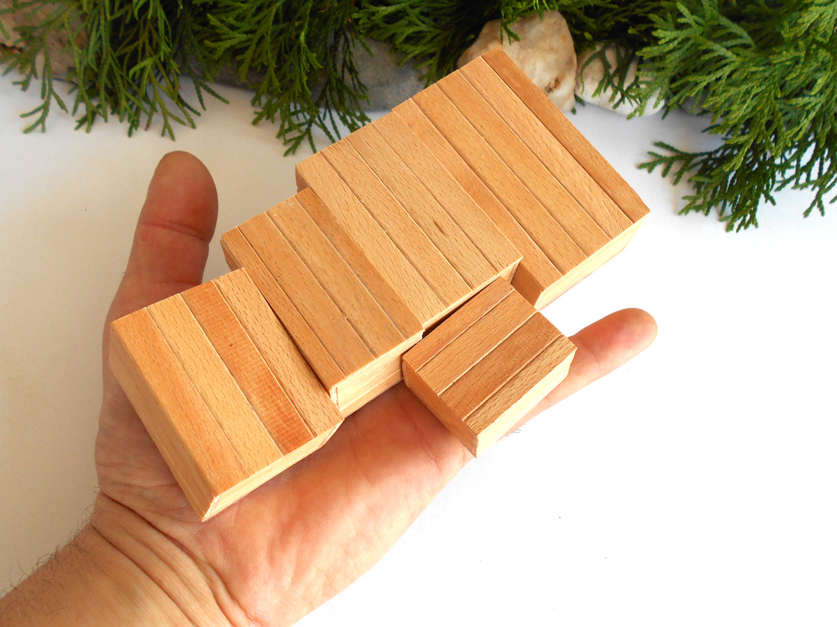 A hand holding a set of small rectangular wooden blocks or tiles with visible wood grain, photographed against a white background with green foliage at the top.