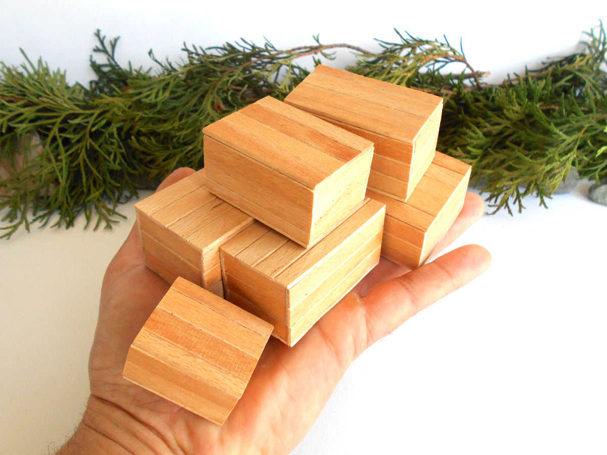 A hand holding a stack of small rectangular wooden miniature boxes with visible wood grain, set against a white background with green foliage at the top.