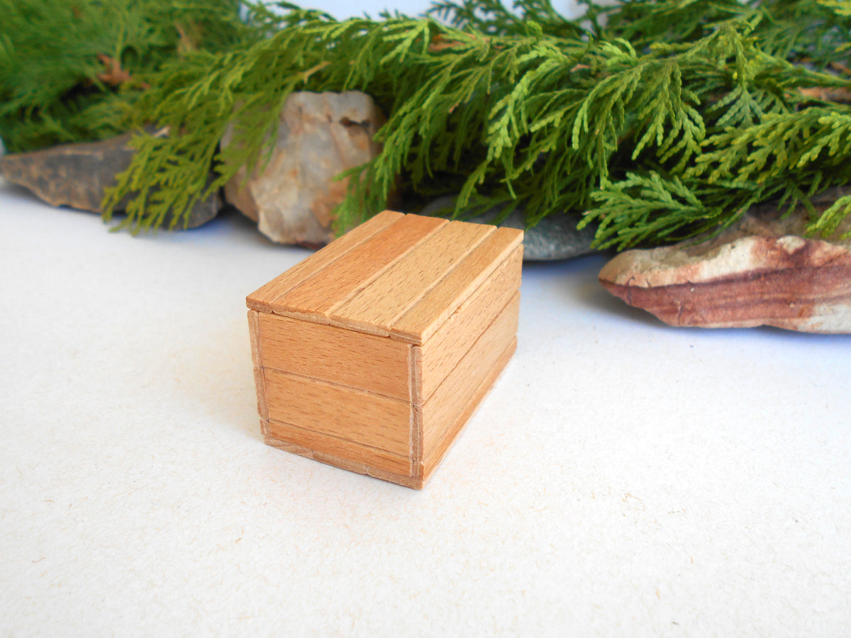 A small rectangular wooden box with a light natural wood grain finish, photographed on a white surface with green foliage and rocks in the background.