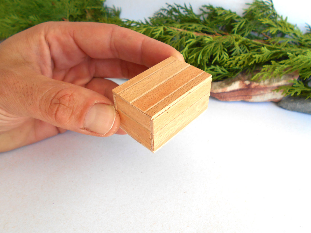 A hand holding a small rectangular wooden box with a light natural wood finish, set against a white background with green foliage in the blurred background.
