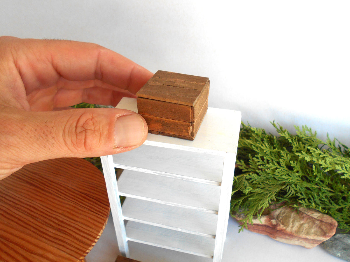 A miniature wooden box with a hinged lid being held by a hand on top of a small white shelf, with miniature green foliage and a wooden surface in the background.