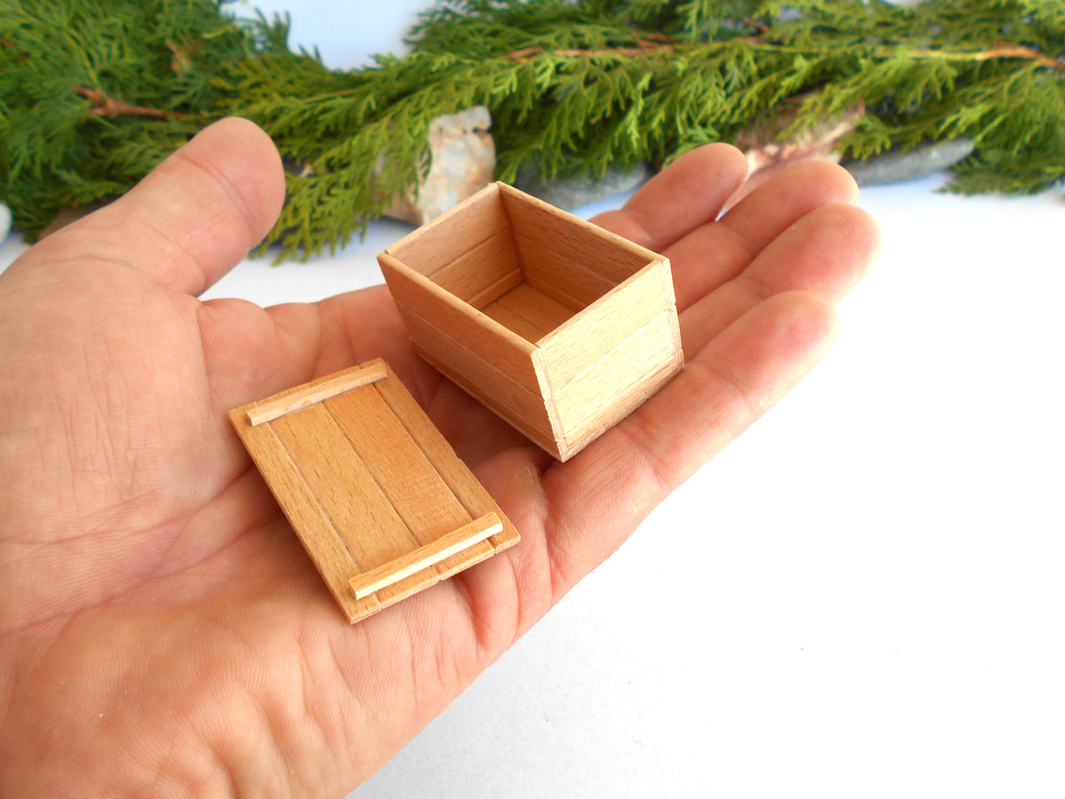 A miniature light wood box with its lid placed beside it, held in a person's hand. The box appears to be made of pale natural wood and is photographed against a white background with green foliage visible in the upper area.