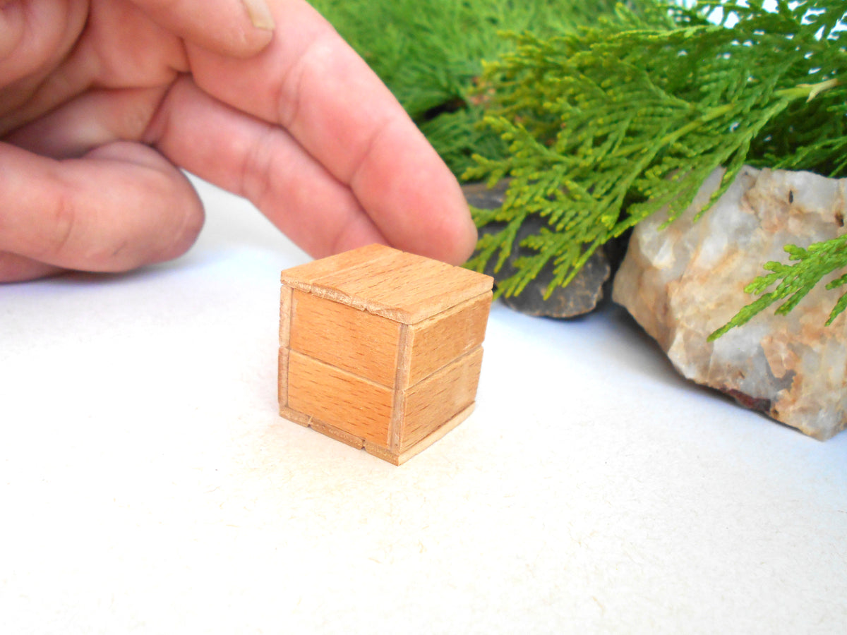 A miniature light brown wooden box with a lid, shown next to a person's hand for scale, with green foliage and a rock in the background.