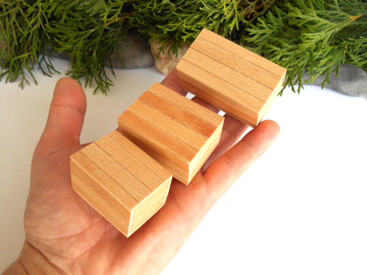 Three small rectangular wooden boxes with a striped pattern, held in a person's hand against a white background with green foliage at the top.