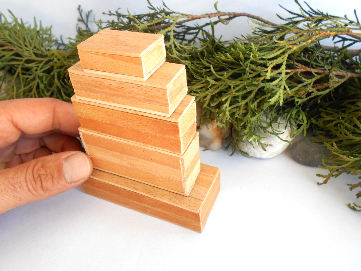 A hand holding a stack of five small, light-colored wooden miniature boxes with a natural wood grain finish, set against a white background with green foliage and small stones.
