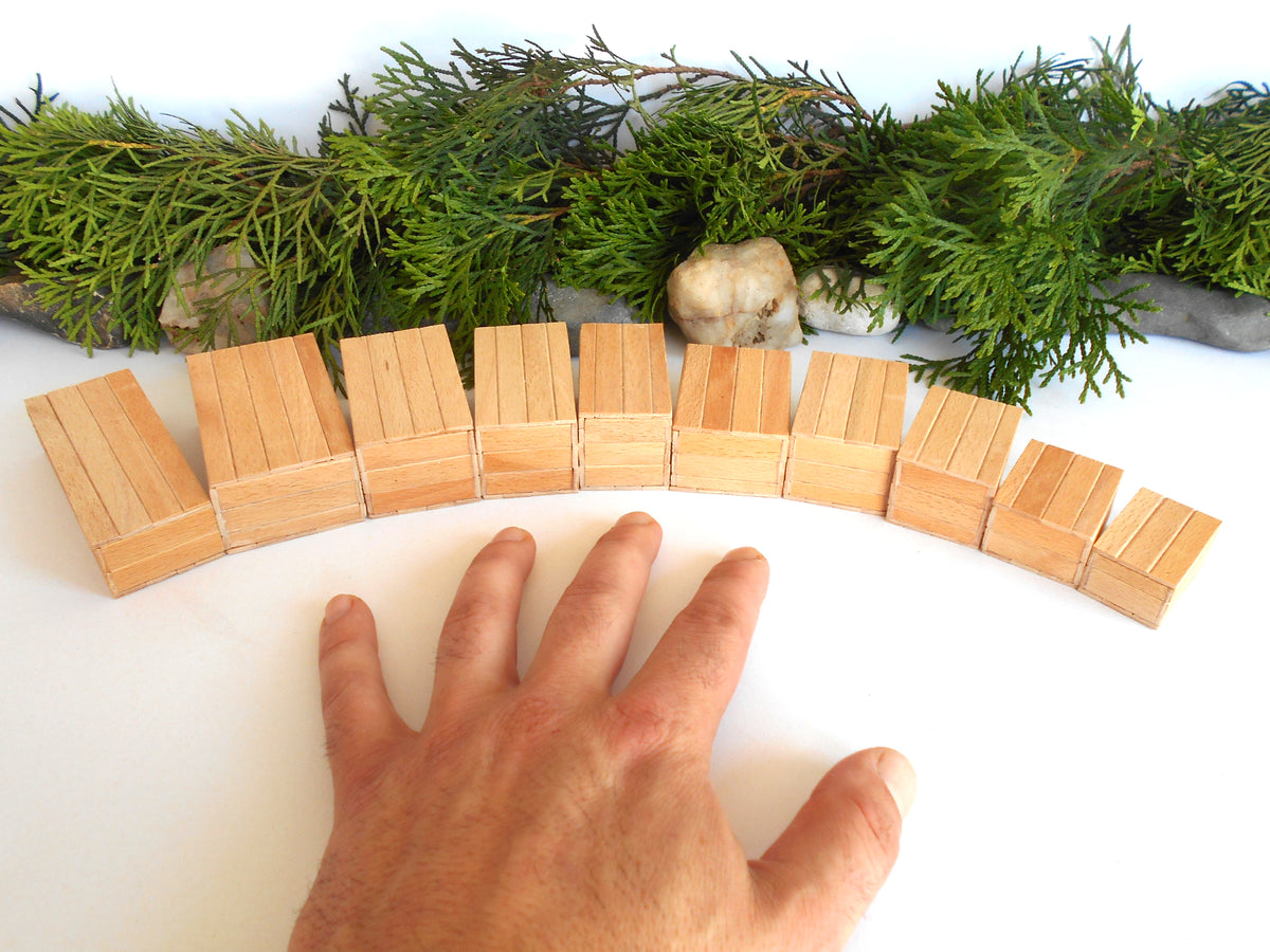 A hand is shown beneath a curved row of small rectangular wooden boxes, with green foliage and a small stone prop along the top edge against a white background.