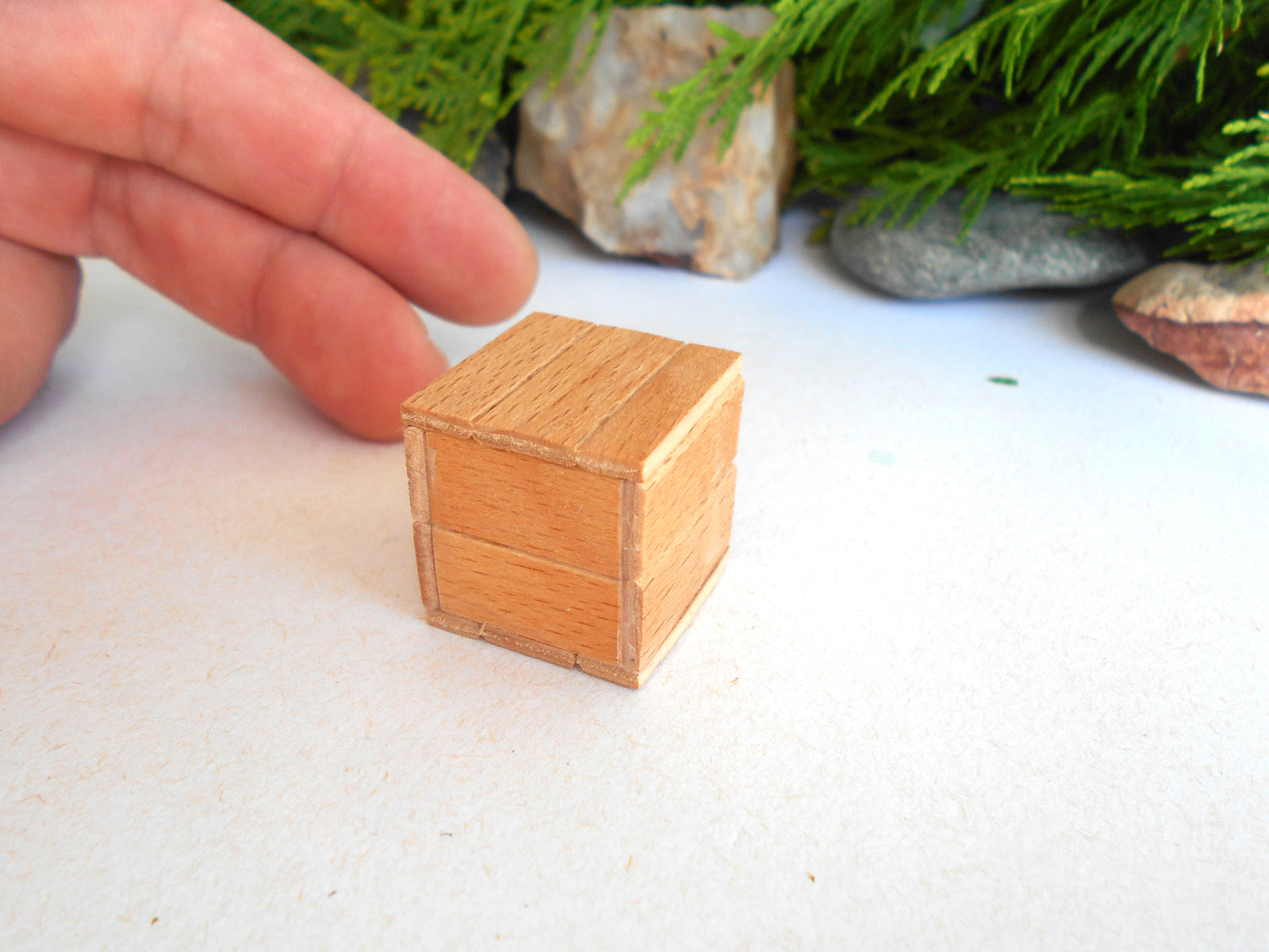 A miniature light brown wooden box with a visible wood grain texture, shown on a white surface with a hand pointing near it and green foliage in the background.