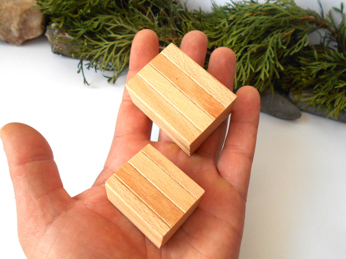 Two small rectangular wooden blocks with three light wood stripes on top, held in a person's hand against a white background with green foliage and rocks in the distance.