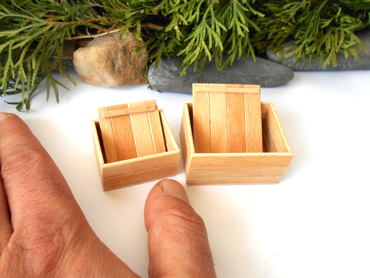 Two miniature light wood boxes shown on a white surface with a person's hand and green foliage in the background for scale.