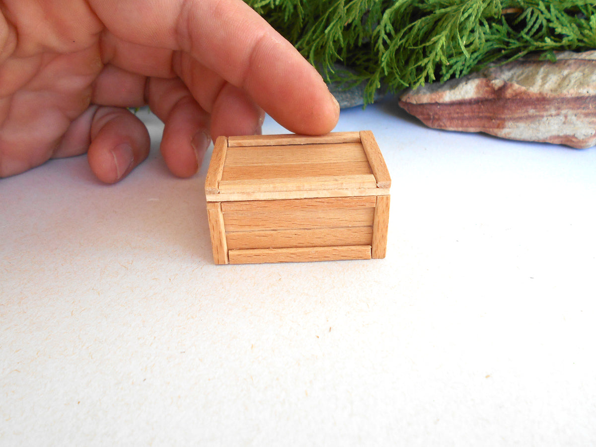 A miniature light brown wooden box with a hinged lid, held by a person's fingers to show its small scale, set against a white background with green foliage in the background.