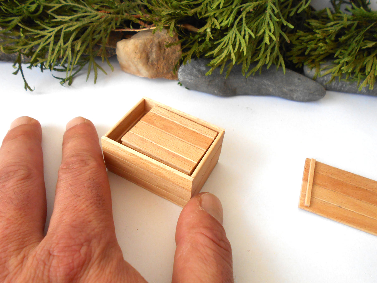 A close-up of a hand holding a small light wood box with a sliding lid, with additional matching wooden pieces and green foliage in the background.