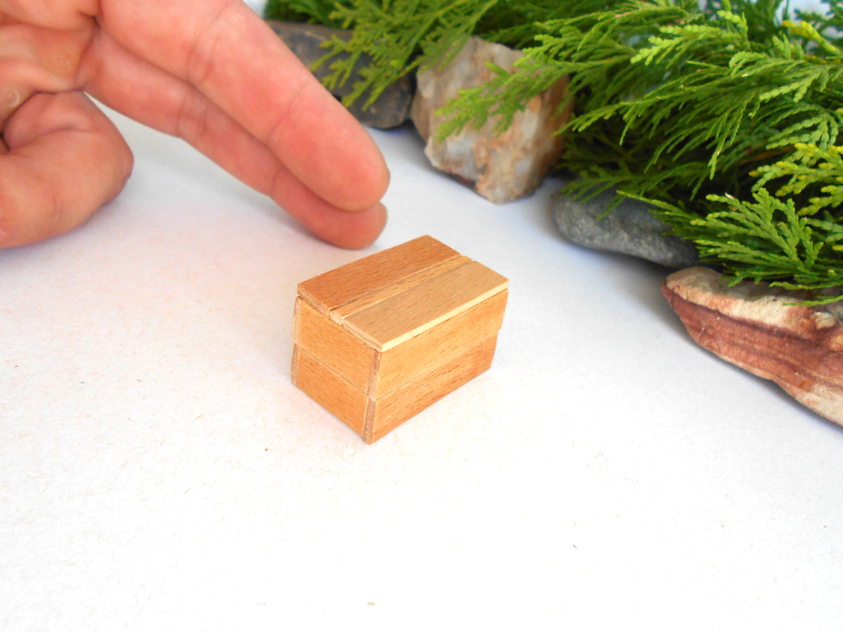 A miniature light brown wooden box with a slanted lid, shown on a white surface with a person's hand and artificial greenery in the background for scale.