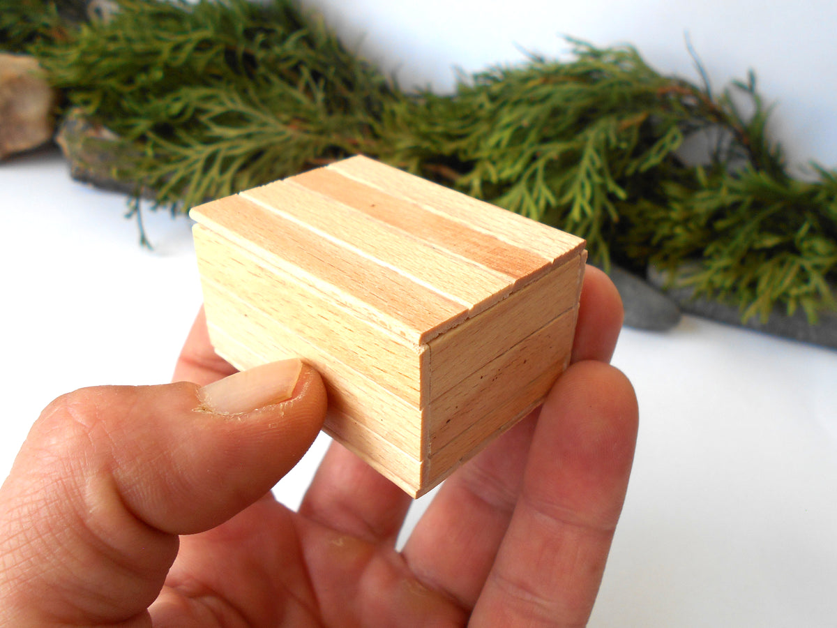 A hand holding a small, square, light-colored wooden box with visible wood grain stripes, set against a white background with green foliage in the soft-focus background.