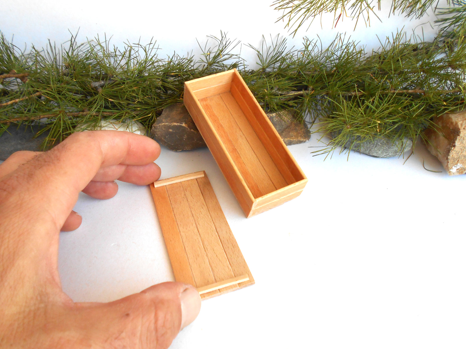A close-up of a hand holding a small rectangular wooden box lid next to an open matching wooden box, with pine branches and stones in the background.
