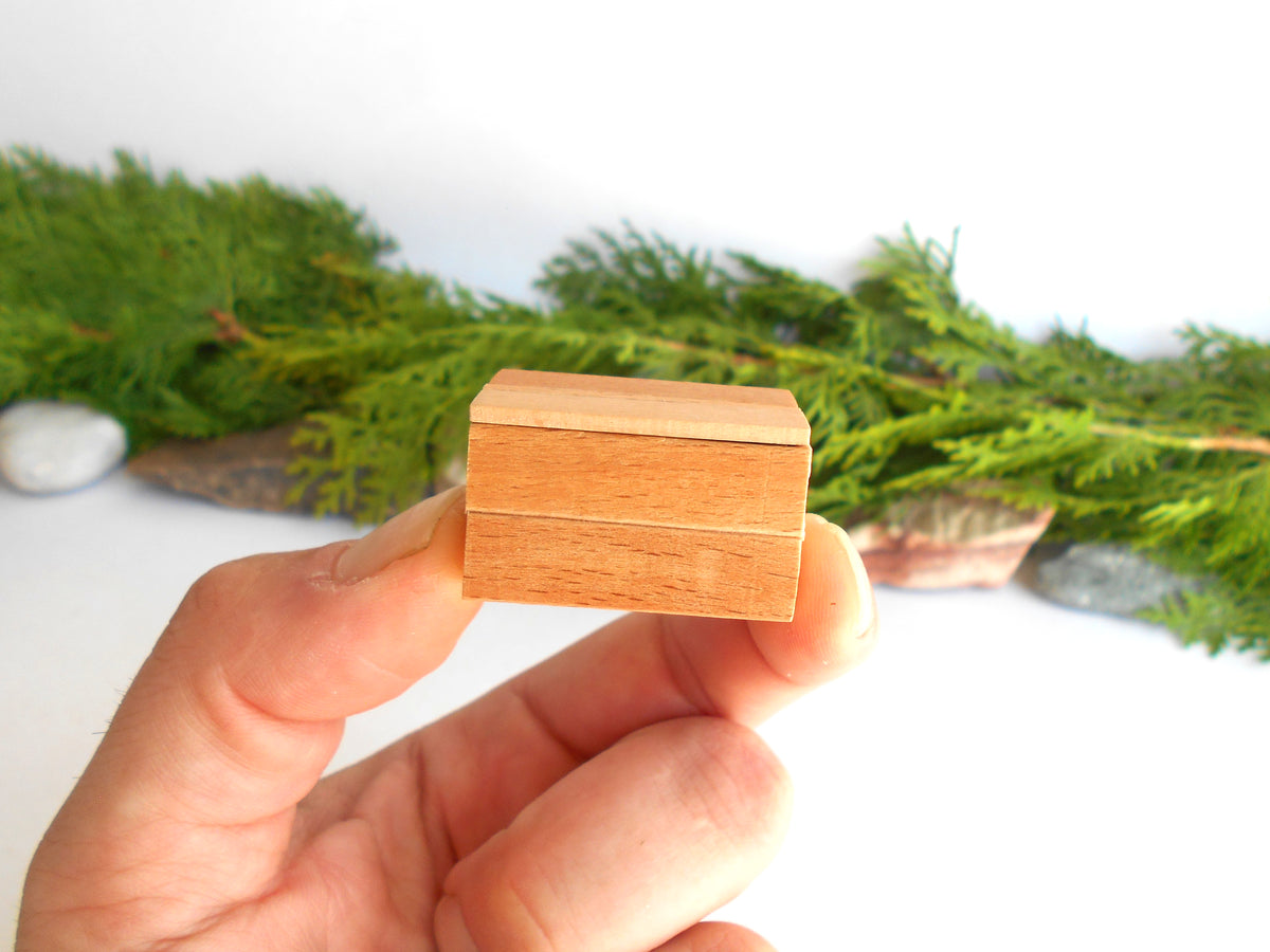 A hand holding a small, light-colored wooden box with a visible wood grain texture, set against a white background with blurred green foliage.