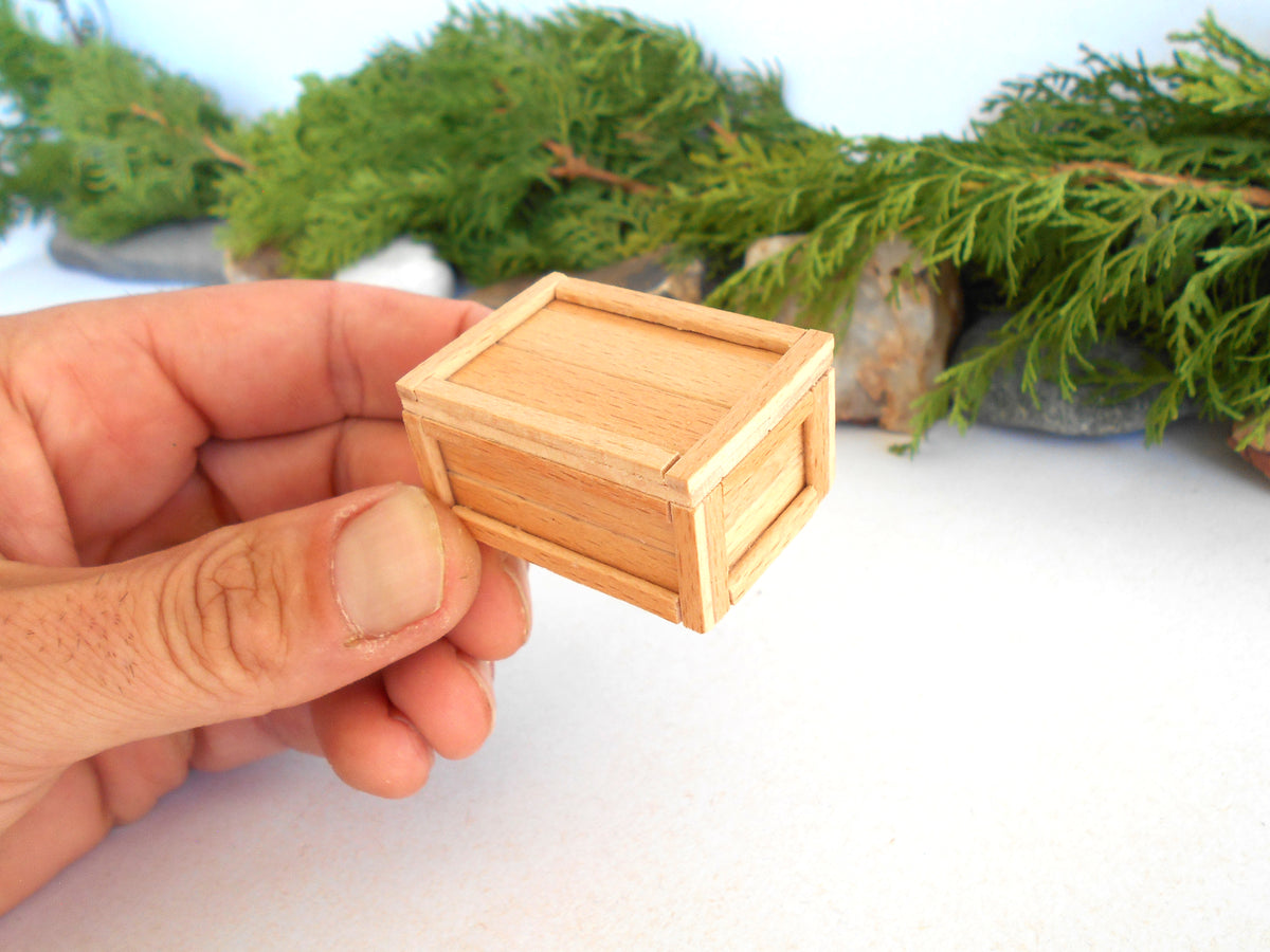A hand holding a miniature light wood crate, shown against a white background with blurred green foliage.