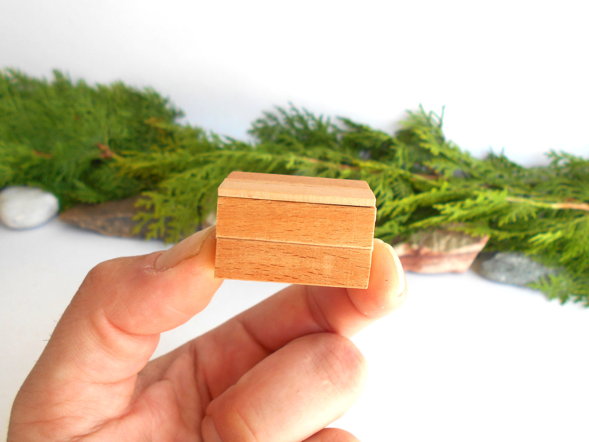 A hand holding a small, light-colored wooden box with a lid, set against a white background with blurred green foliage.