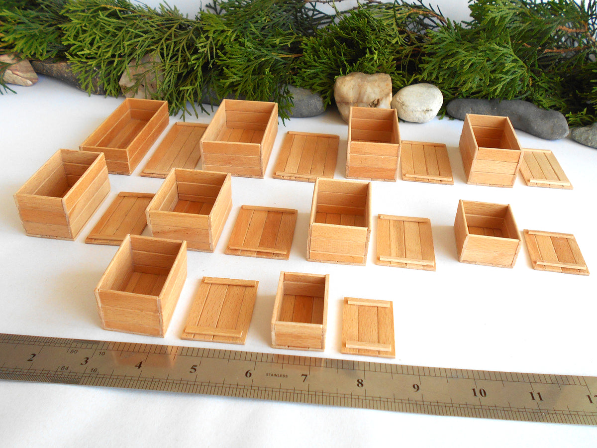 A set of small light wood storage boxes and lids arranged on a white surface, with a metal ruler along the bottom for scale and greenery in the background.