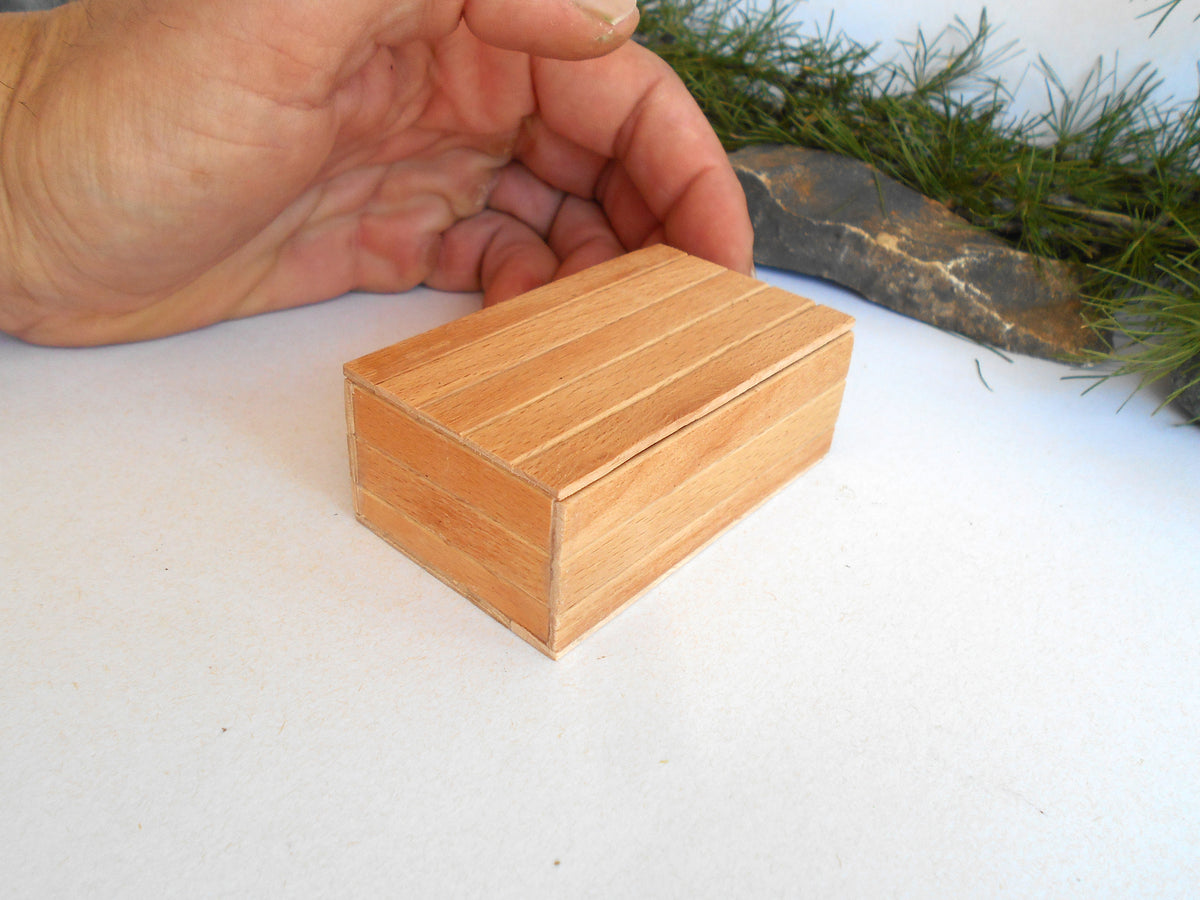 A small rectangular wooden box with a lid, shown on a white surface with a hand holding it for scale and greenery in the background.