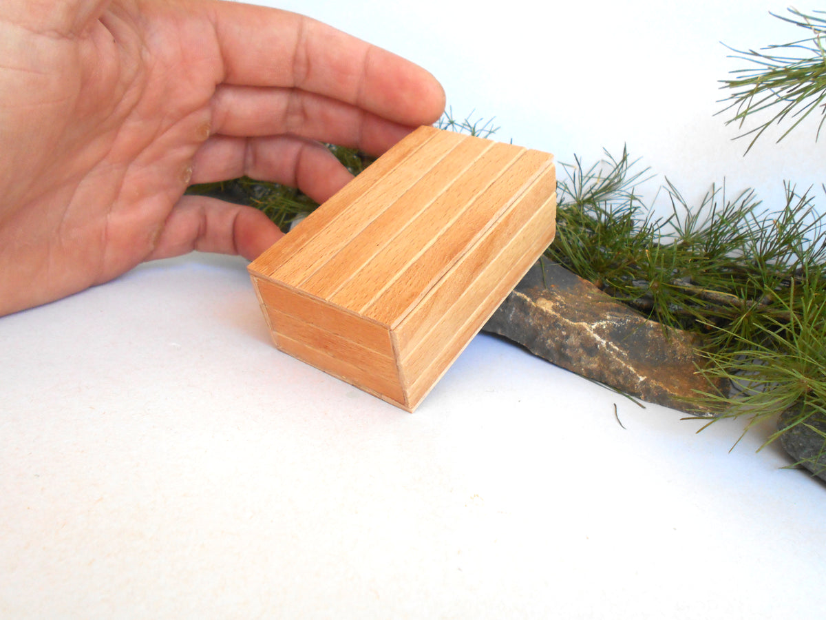 A hand holding a small rectangular light wood block with visible wood grain, set against a white background with some green foliage and a dark branch prop.