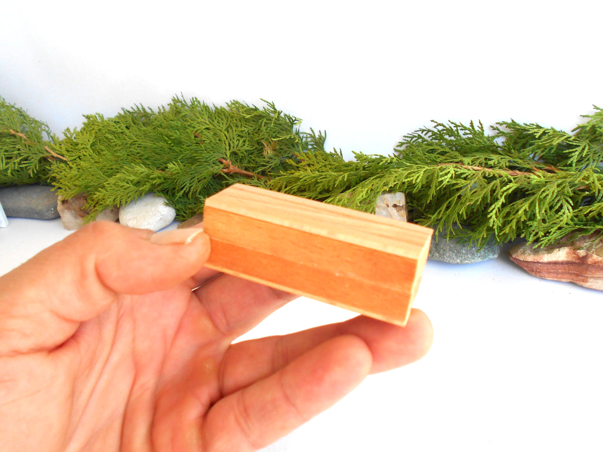 A hand holding a small rectangular mini box of light-colored wood, with green foliage and small stones in the background against a white backdrop.