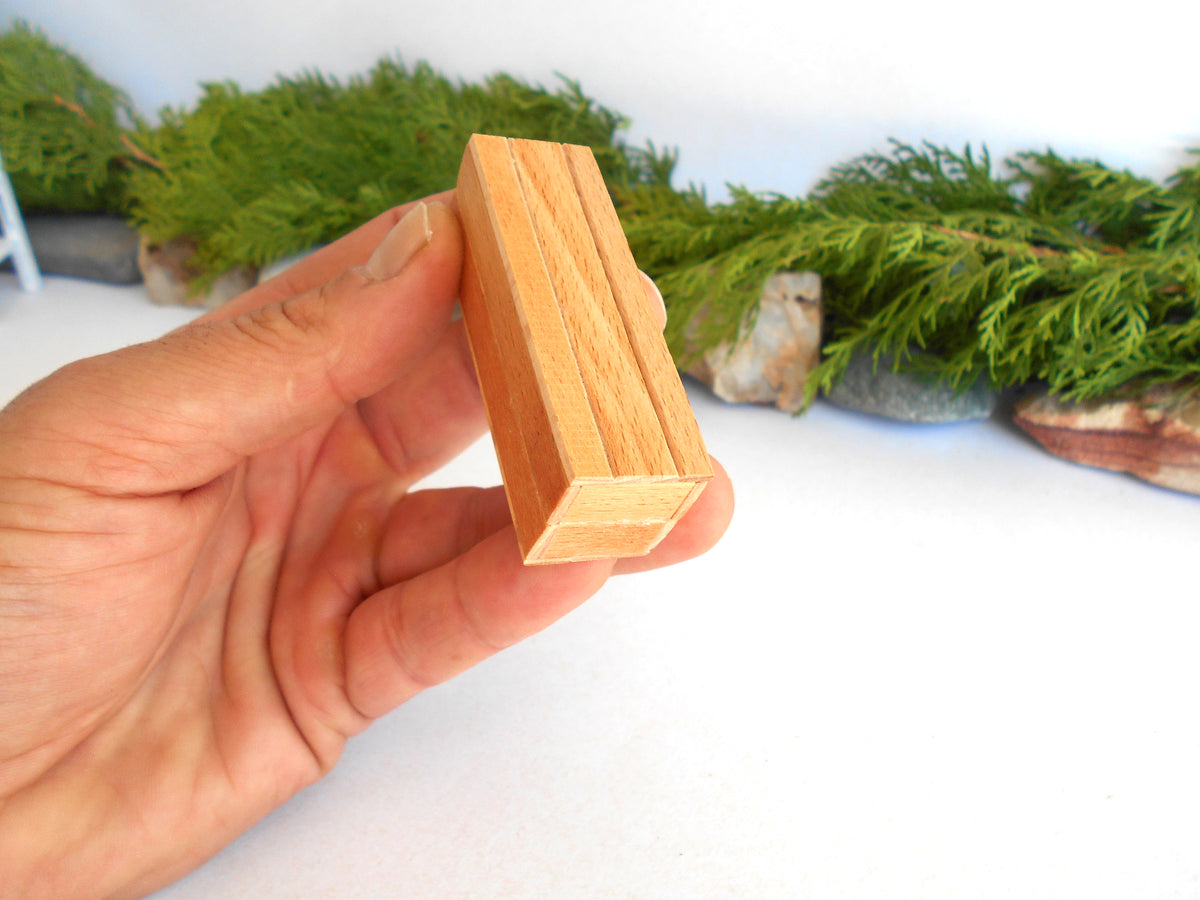A hand holding a small, light-colored wooden mini box with visible wood grain and a rectangular bevelled edge, set against a white background with blurred green foliage.