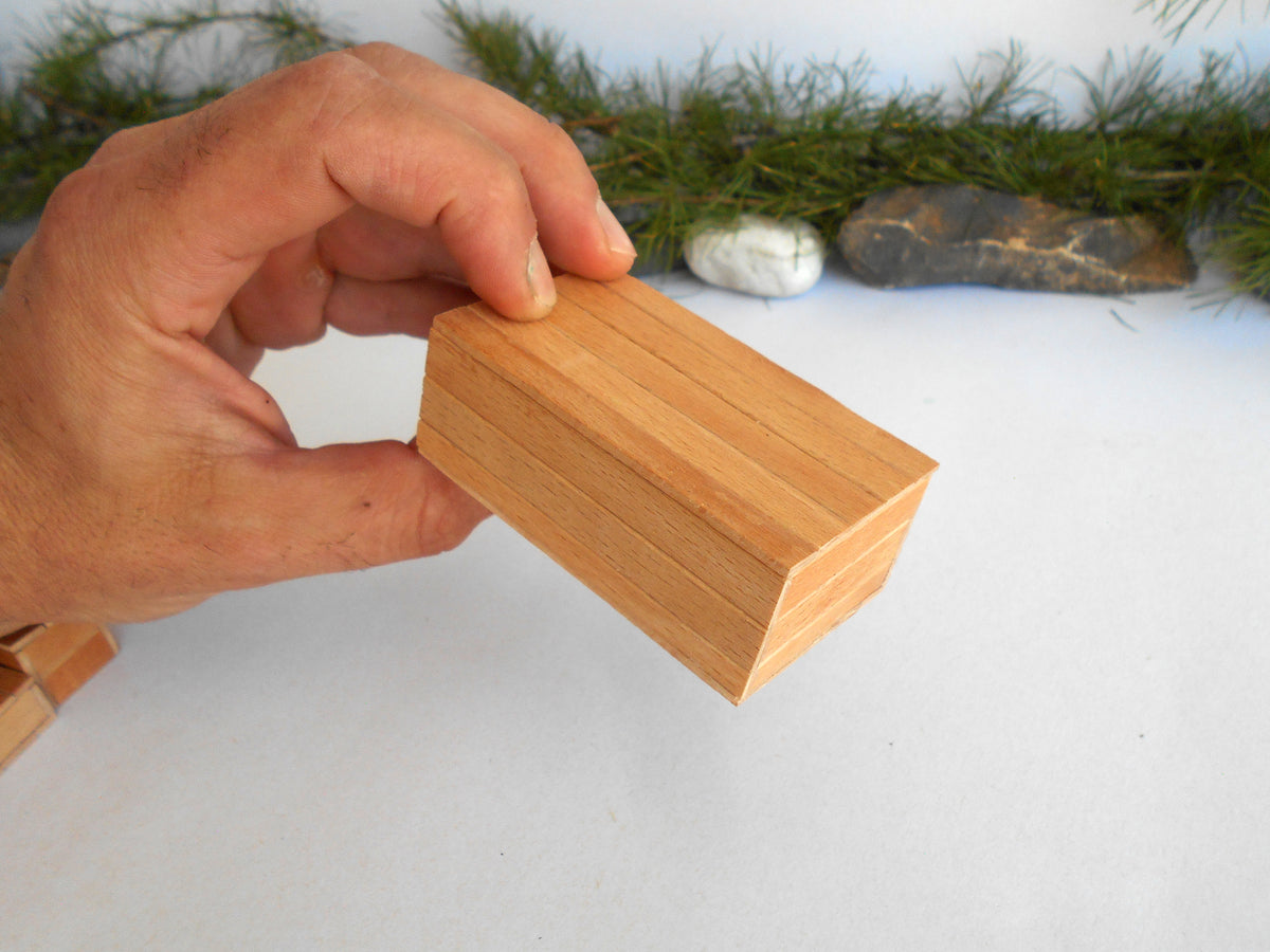 A hand holding a small rectangular wooden block with visible wood grain, photographed against a light surface with blurred greenery and stones in the background.