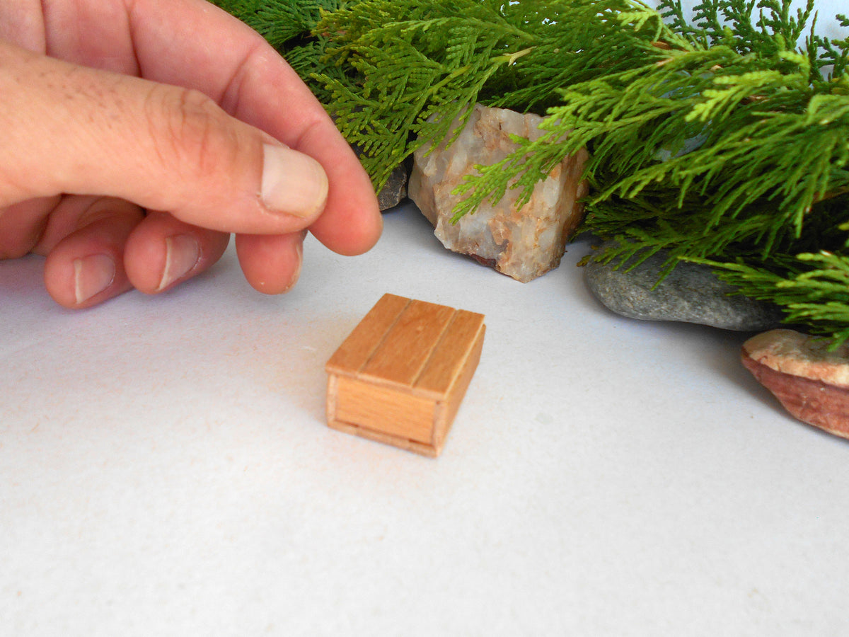 A miniature wooden box with a slatted top, shown next to a human hand for scale, with green foliage and small rocks in the background.