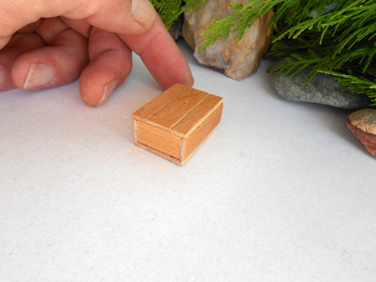 A miniature wooden box with a slatted lid, shown next to a person's hand for scale, with green foliage and rocks in the background.