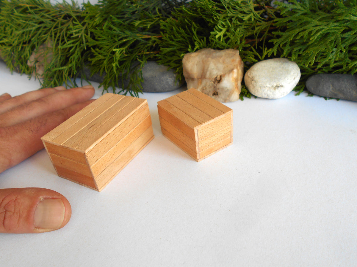 Two small rectangular wooden boxes with visible wood grain, shown on a white surface with a hand at left for scale, green foliage, and stones in the background.