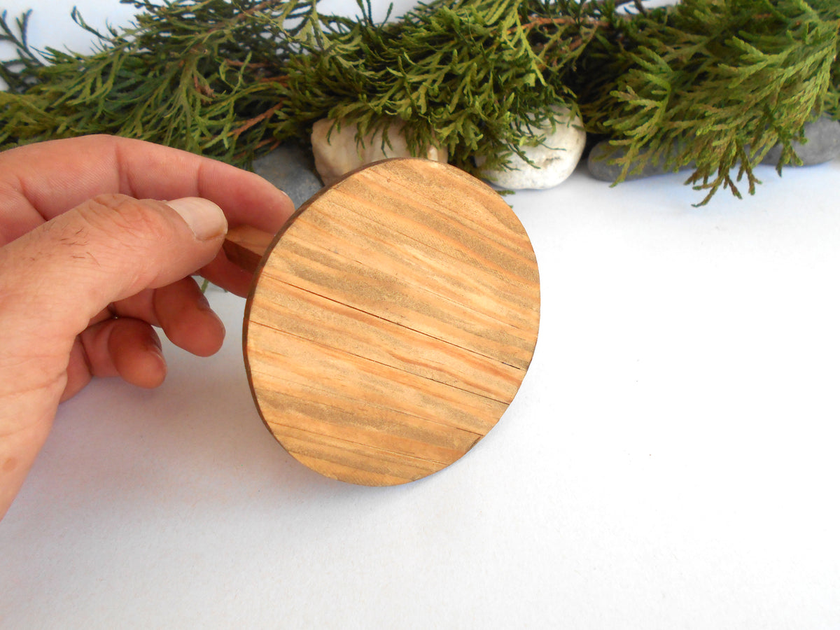 A hand holding a round wooden paddle or scoop with a natural light brown wood grain finish, set against a white background with green foliage and small stones in the upper background.