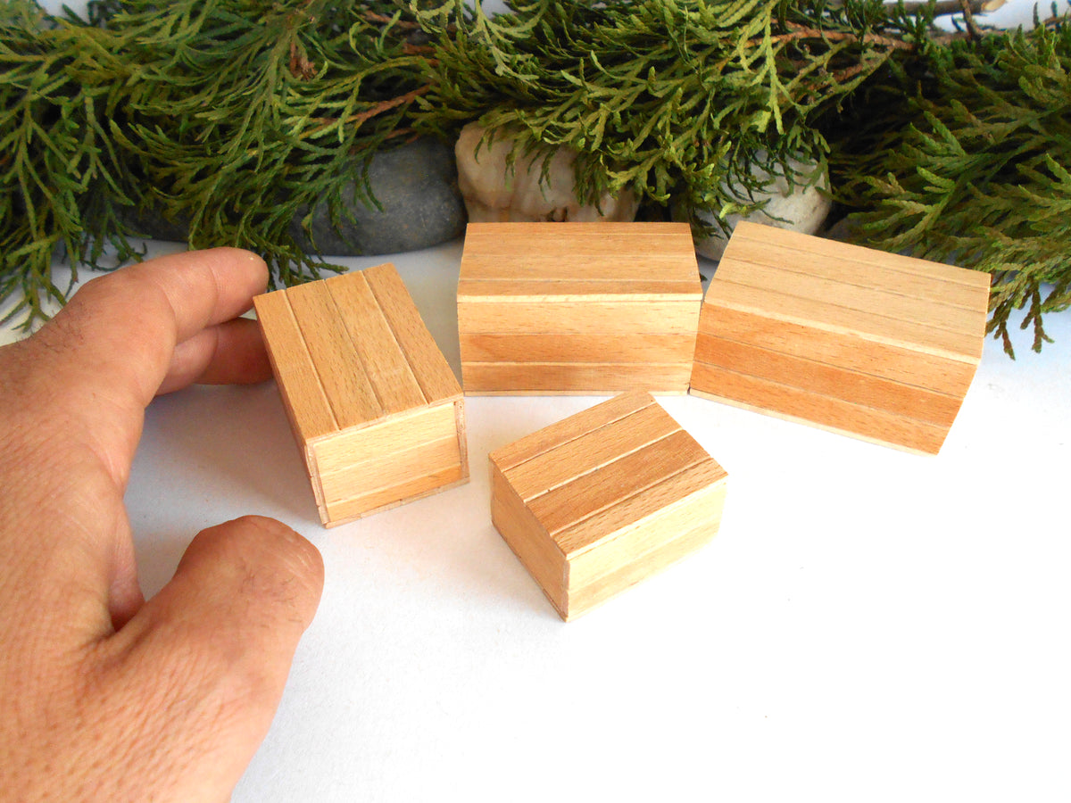 Four miniature rectangular wooden boxes with visible wood grain are arranged on a white surface, with a hand holding one block and green foliage in the background.