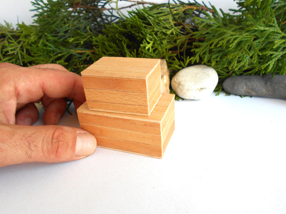 A hand holding a small stack of two natural wood boxes , with green foliage and small stones in the background on a white surface.