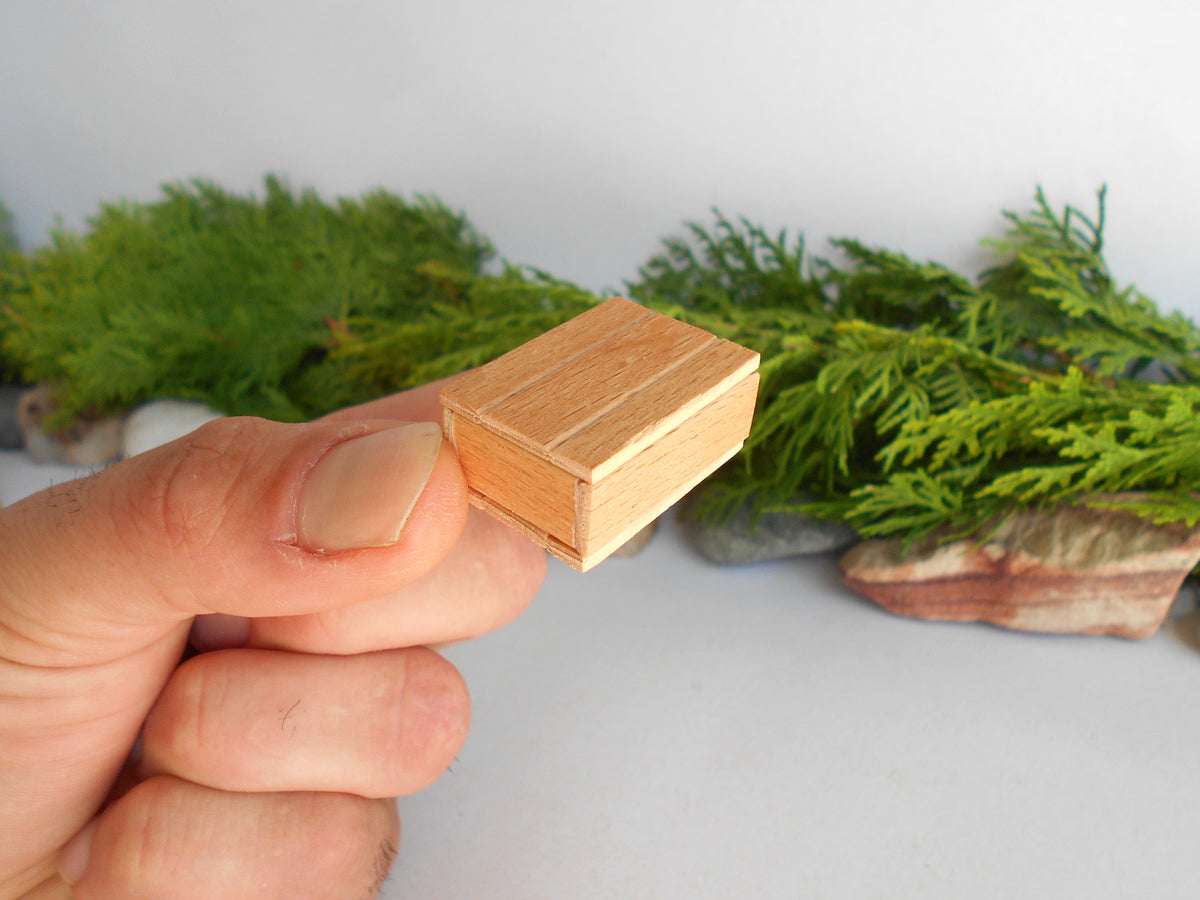 A hand holding a small, rectangular, light brown wooden box with visible wood grain, set against a soft-focus background of green foliage and a white surface.